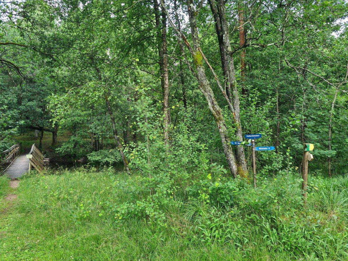 Stuga I Naturen Simlångsdalen Dış mekan fotoğraf
